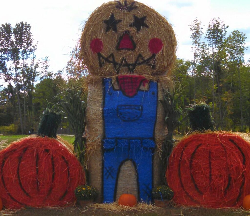 Tendercro — Go Smile Pediatric Dentistry & Orthodontics, Pinellas Park, FL