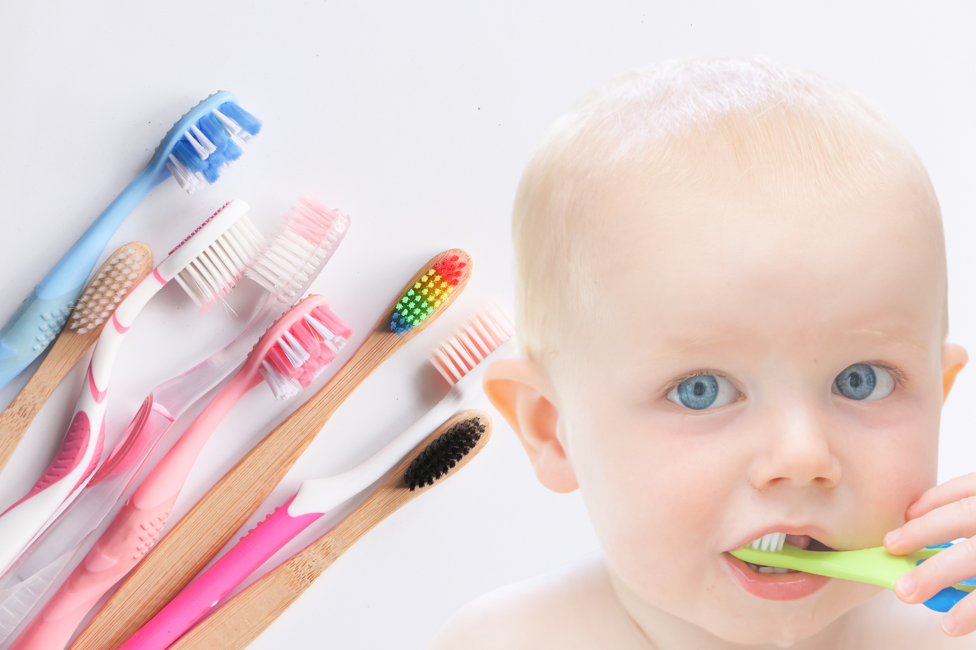 Go Smile Pediatric Dentistry & Orthodontics office in Pinellas Park, Florida