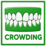 Go Smile Pediatric Dentistry & Orthodontics office in Pinellas Park, Florida
