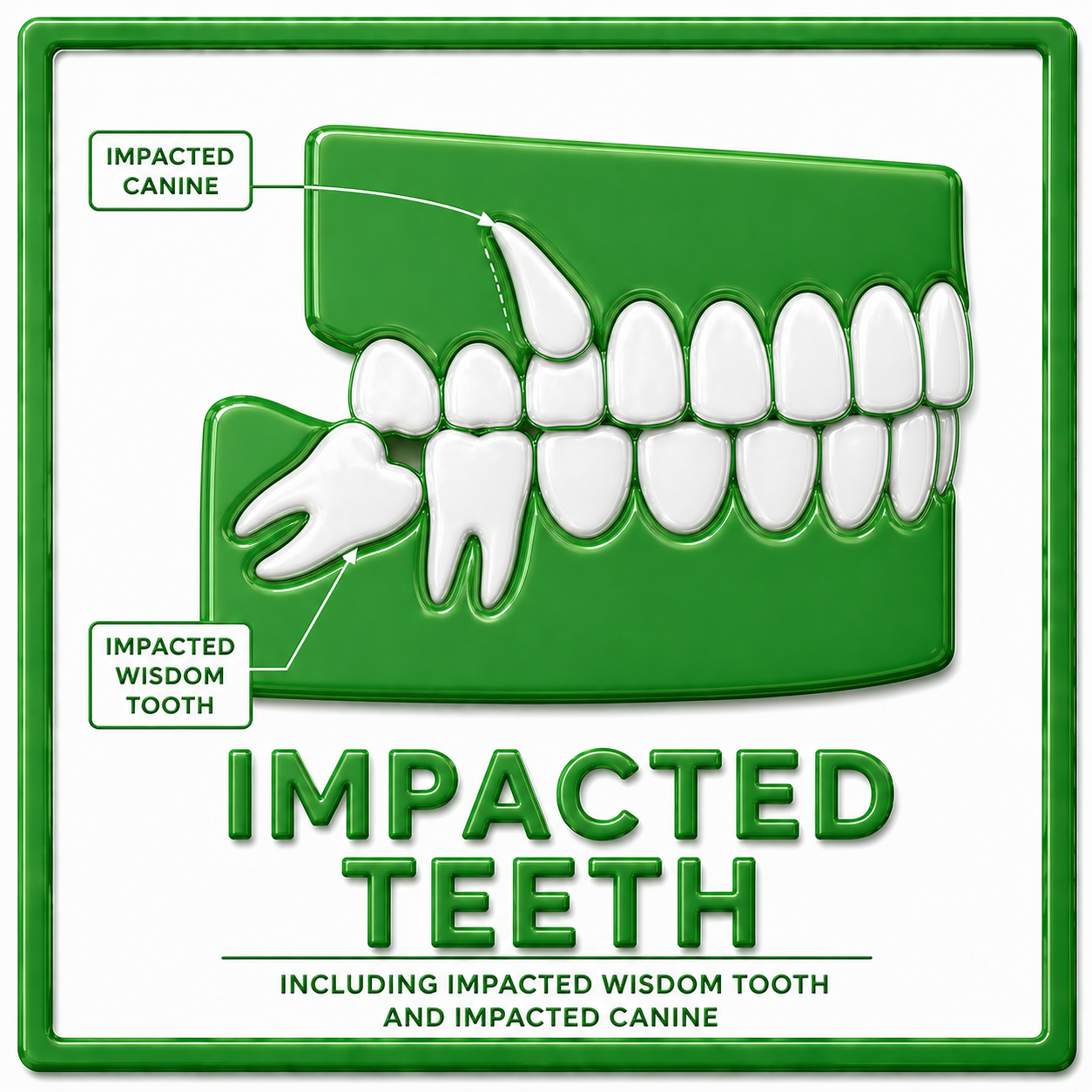 Go Smile Pediatric Dentistry & Orthodontics office in Pinellas Park, Florida